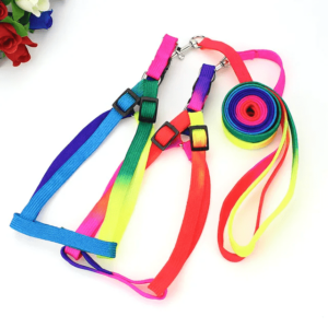 Rainbow Cat Harness