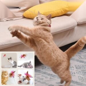 Cat Collar Teaser String Toy Collar Self-stimulating to Relieve Boredom and Bite-resistant