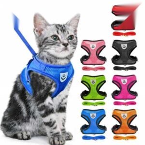 Cat Jacket Harness Harness And Leash Set Puppy Cat Vest Harness