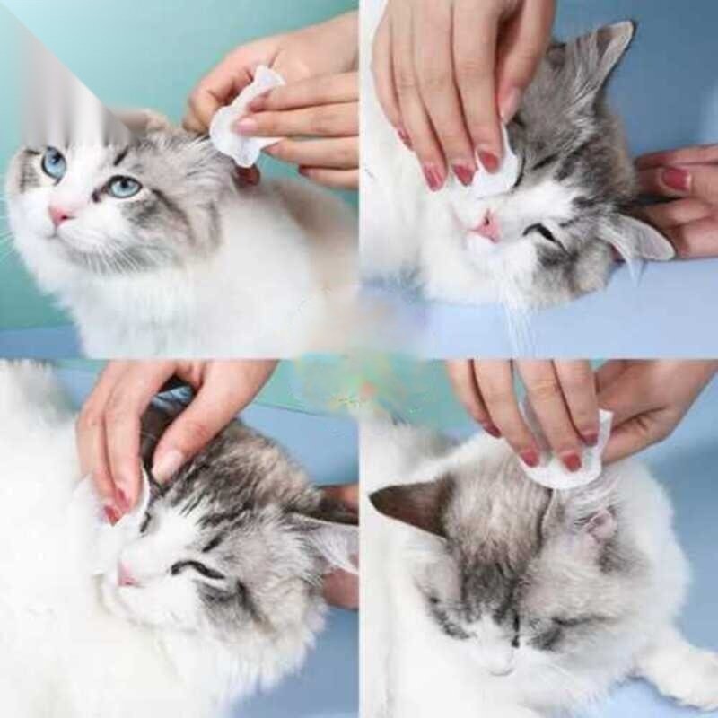 Eye Wipes for Pets (120 pcs)